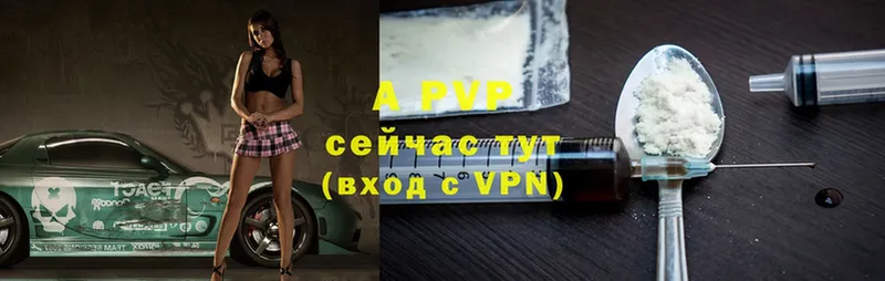 Alfa_PVP СК  Армавир 