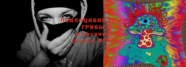 СК Магас