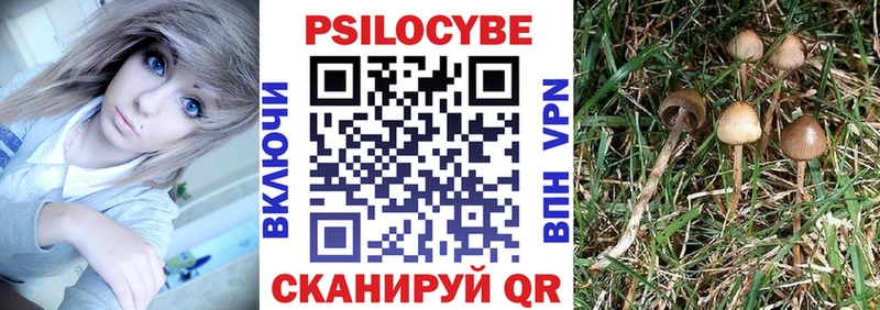 где можно купить наркотик  Армавир  Псилоцибиновые грибы GOLDEN TEACHER 