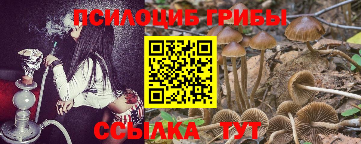 Псилоцибиновые грибы мицелий  Псилоцибиновые грибы Magic Shrooms  Вход с VPN  Армавир 